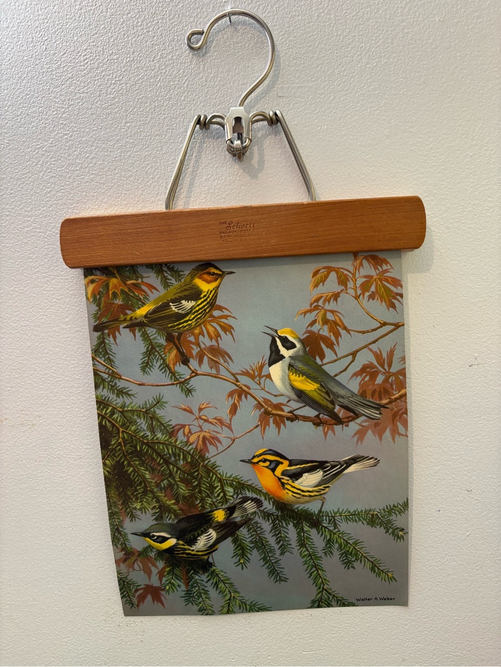 Walter A Weber print on an Old Fashioned Hanger